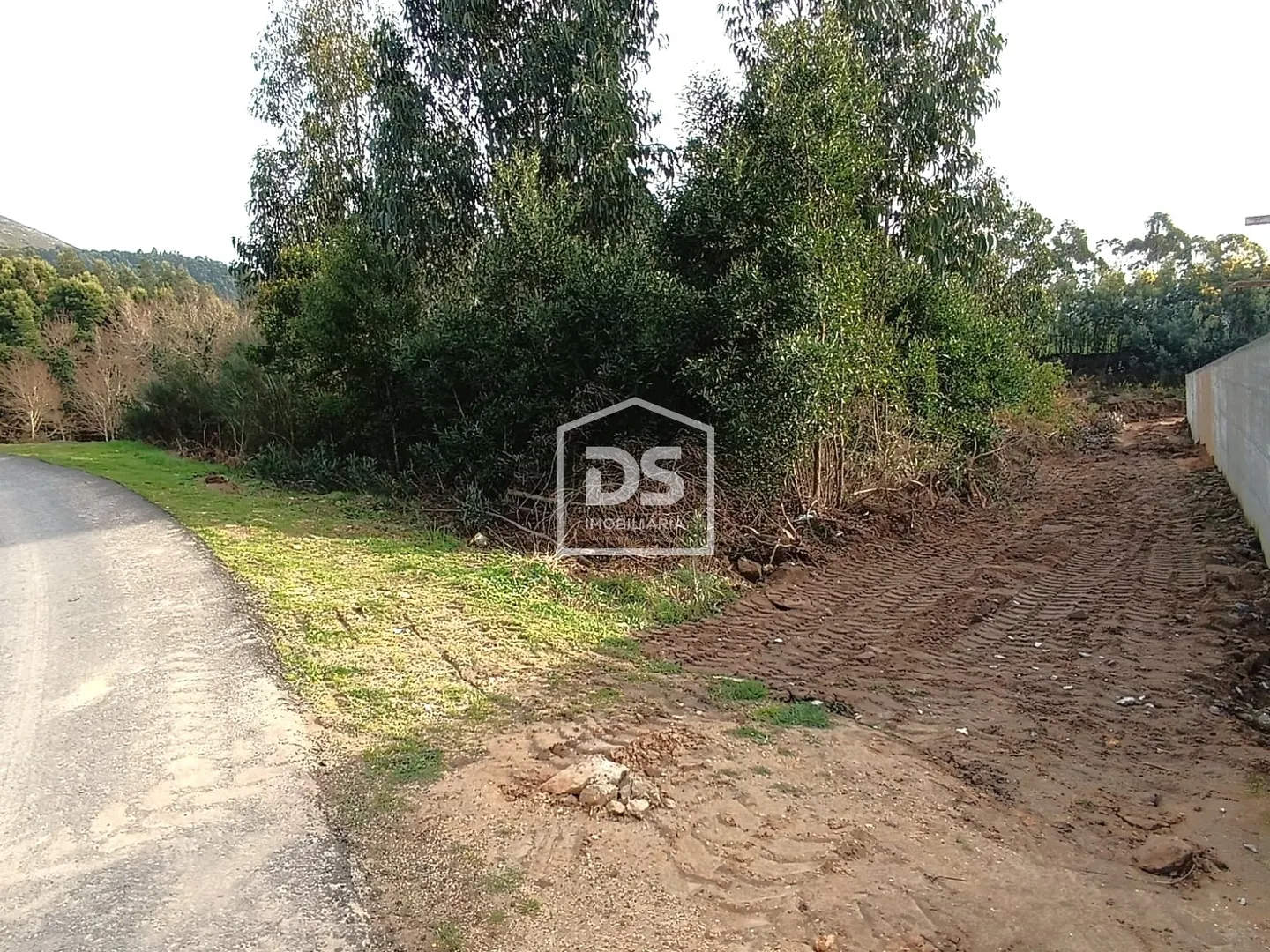 Terreno
