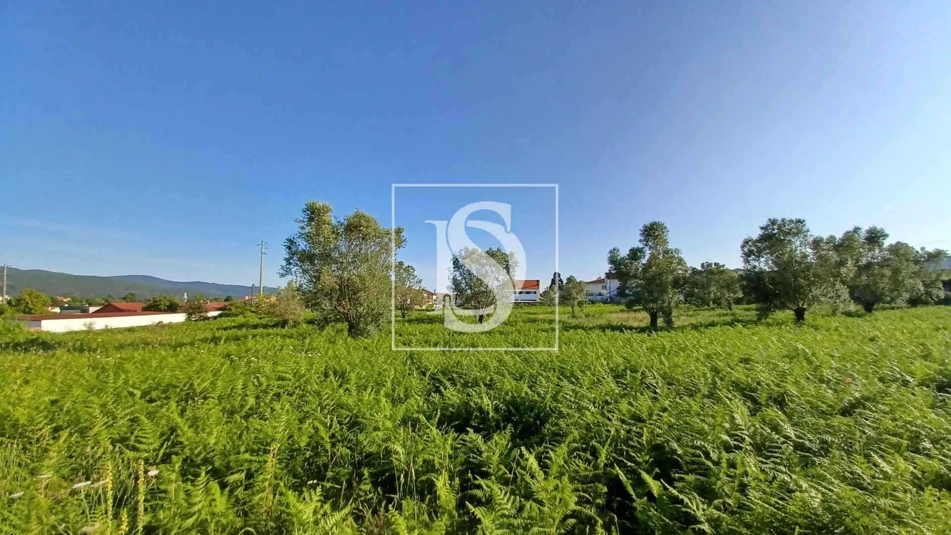 Terreno