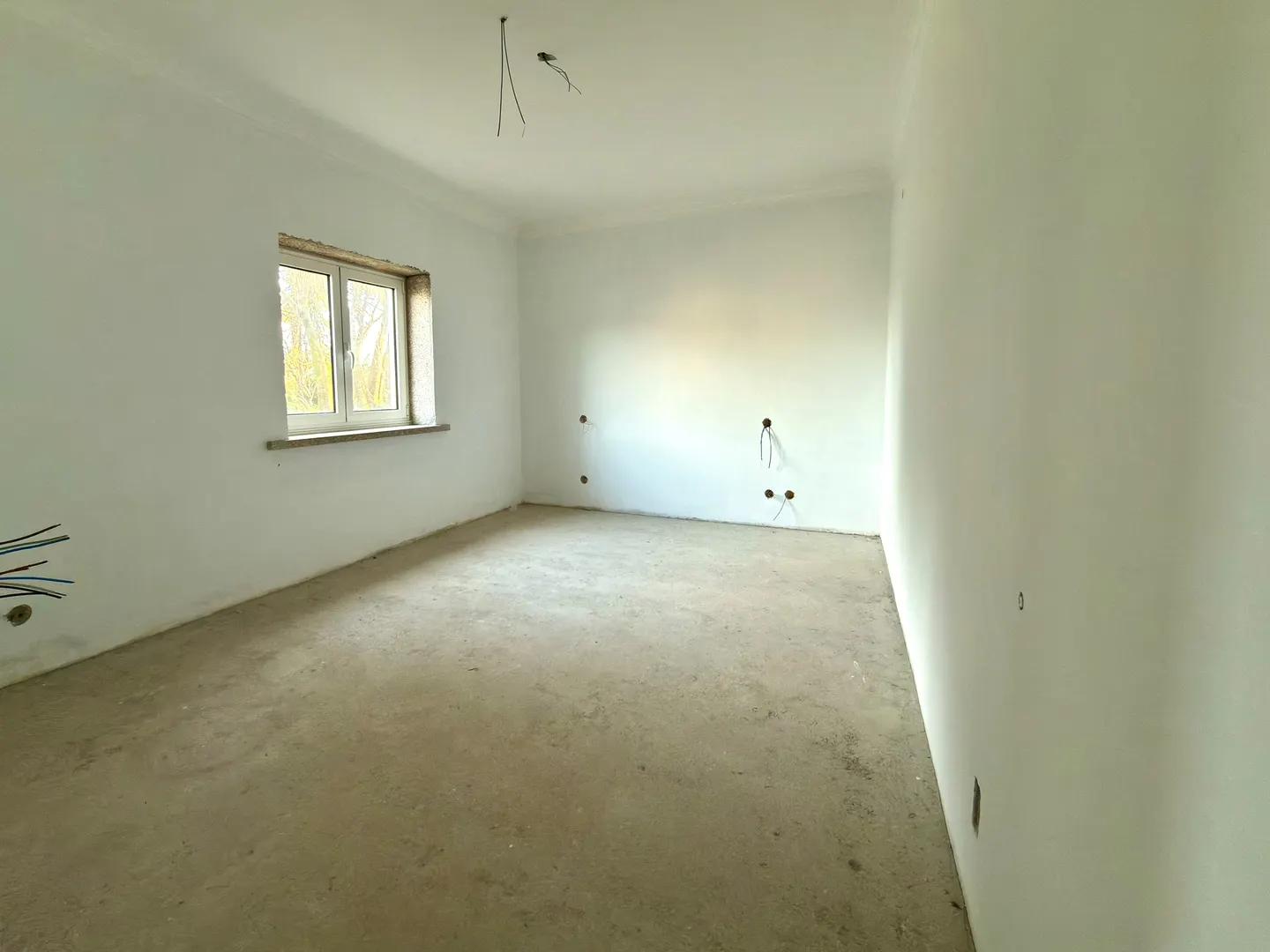 Quinta T5+1
