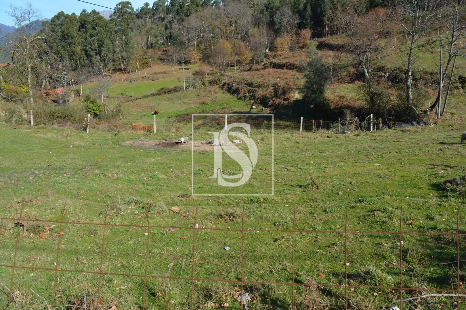 Terreno