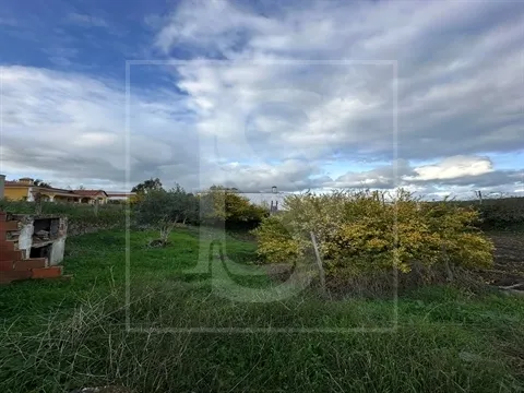 Terreno