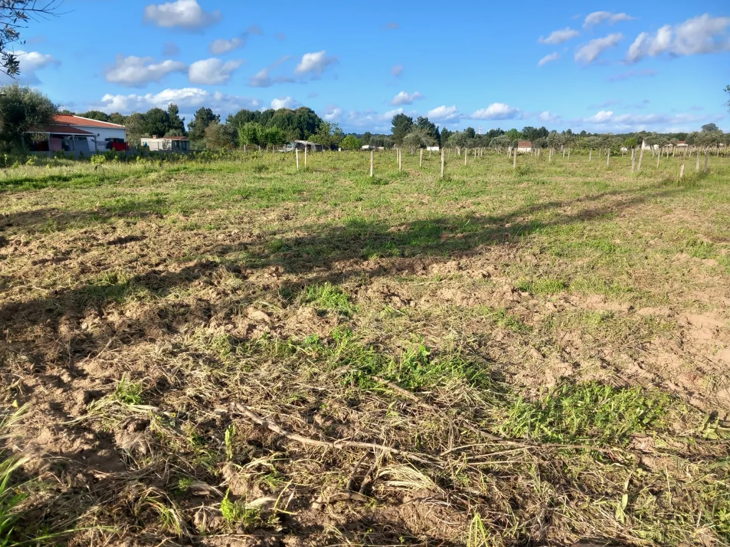 Terreno