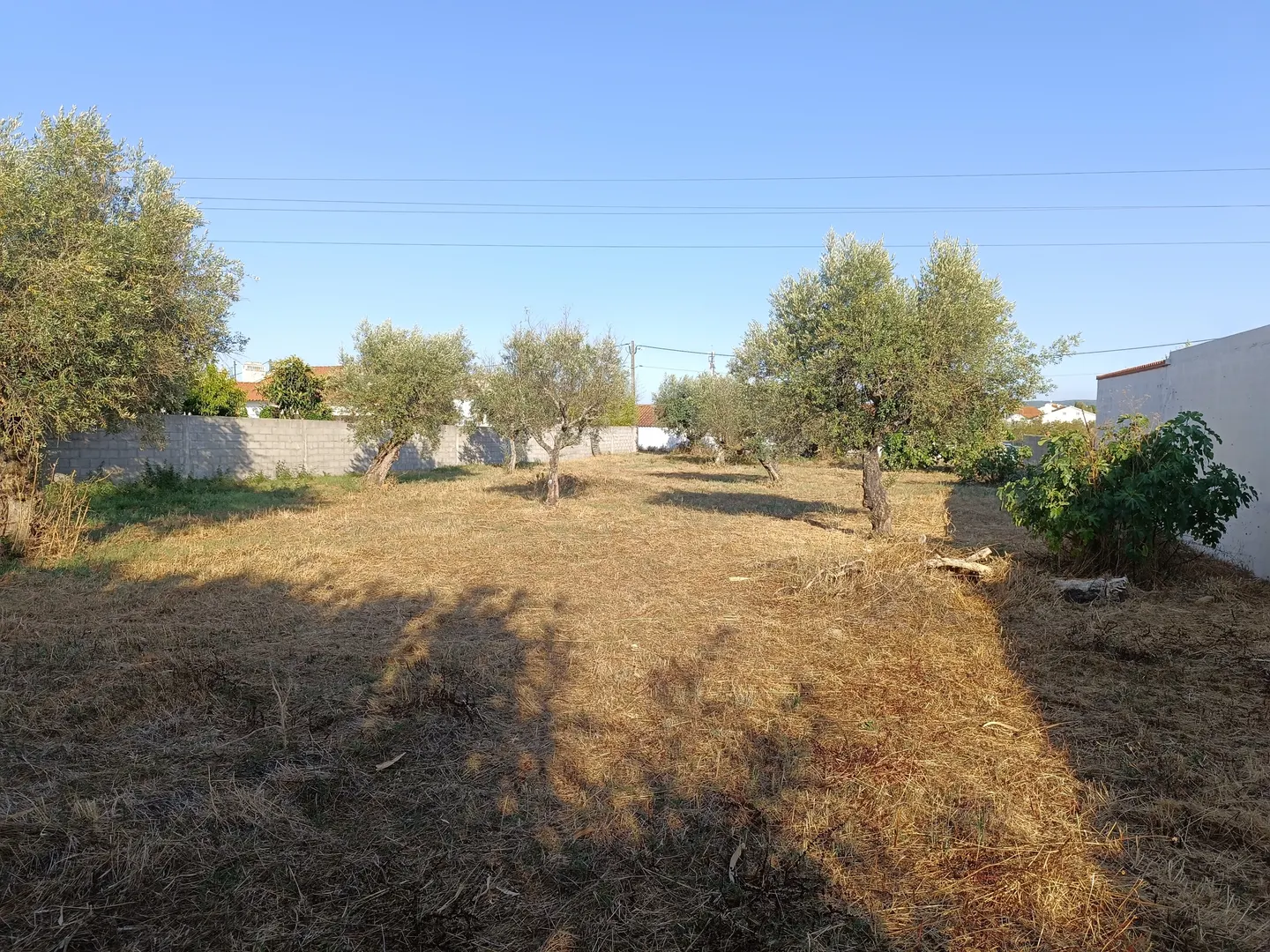 Terreno
