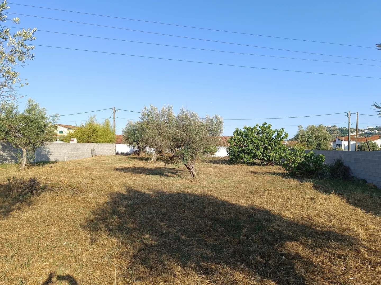 Terreno