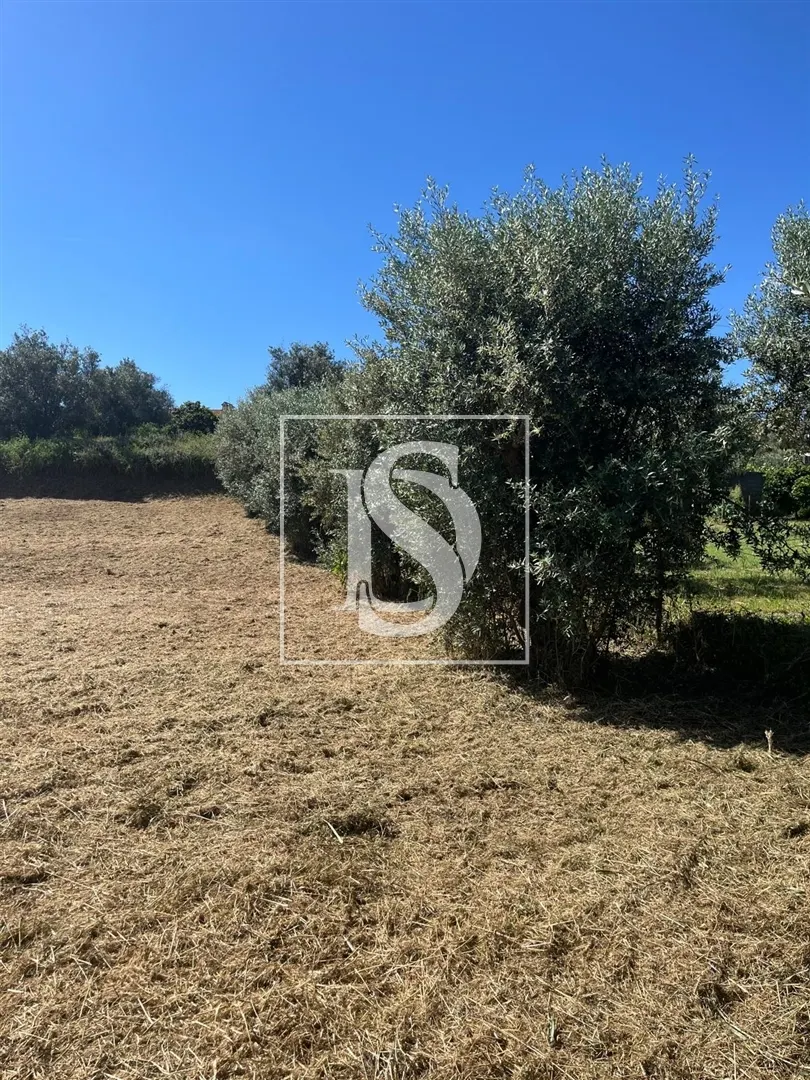 Terreno Com Ruina - Mouriscas - Abrantes