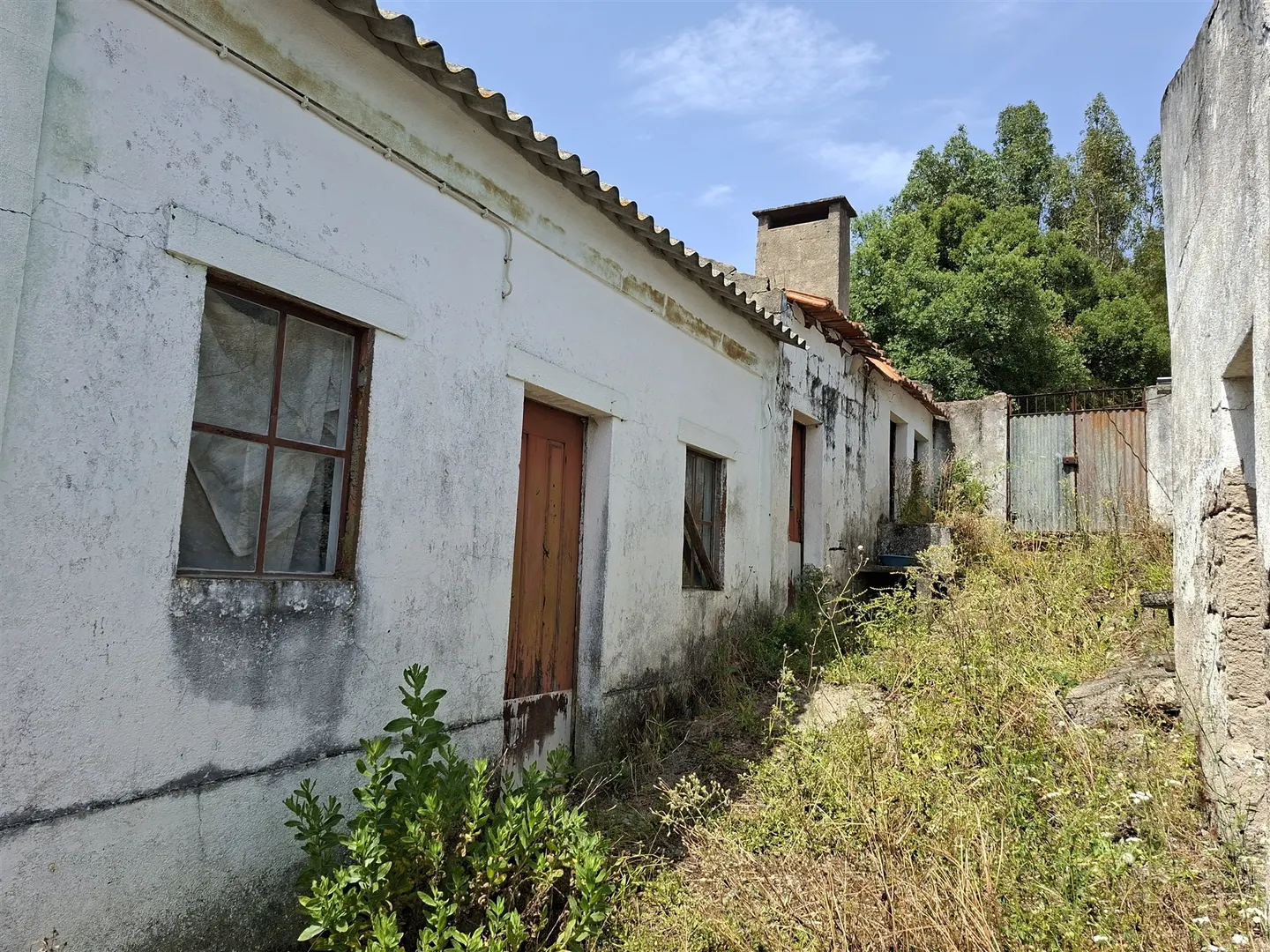 Propriedade Única com 2 Casas para Recuperação e Terreno de 2,6 Hectares