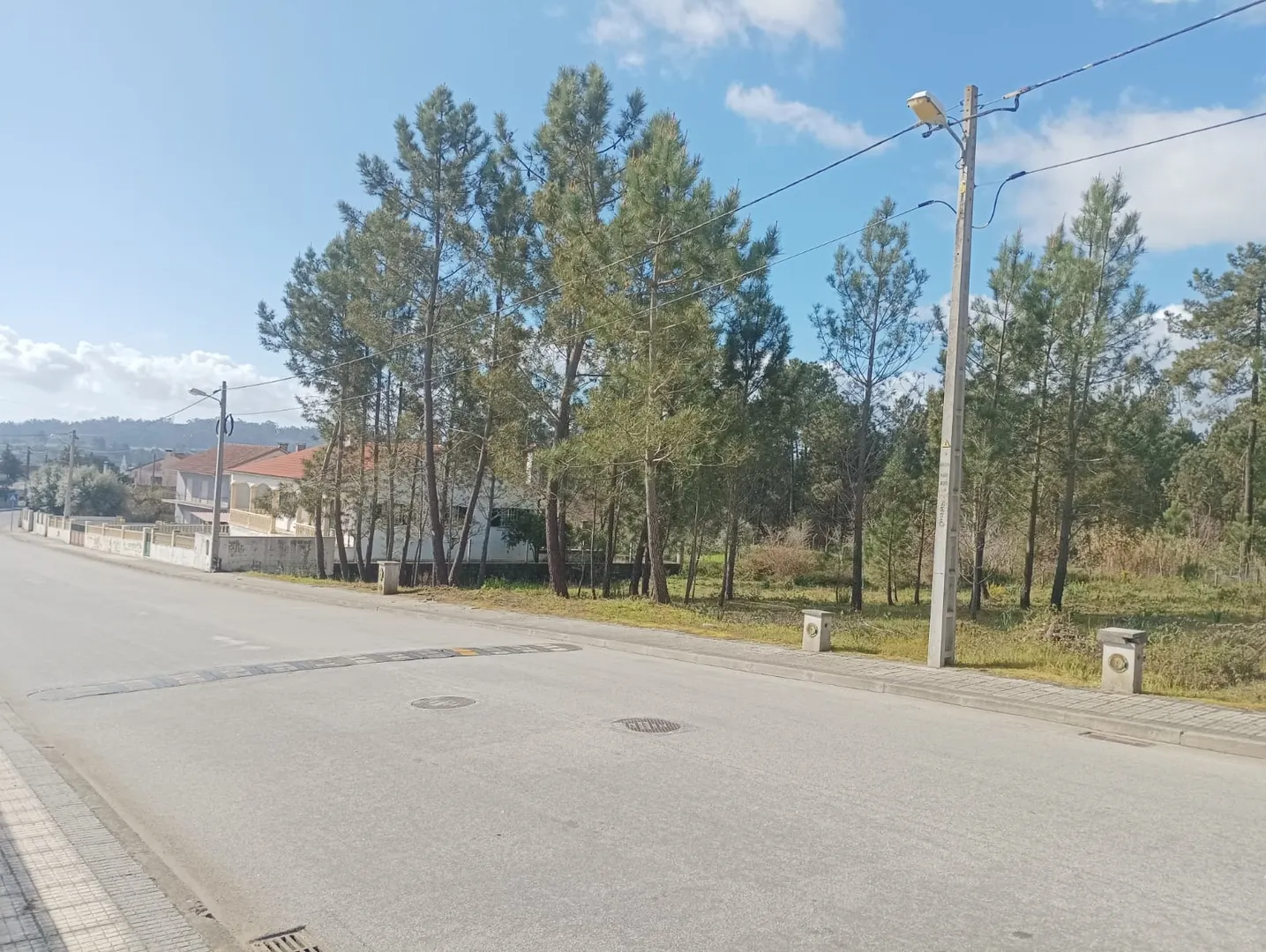 Terreno
