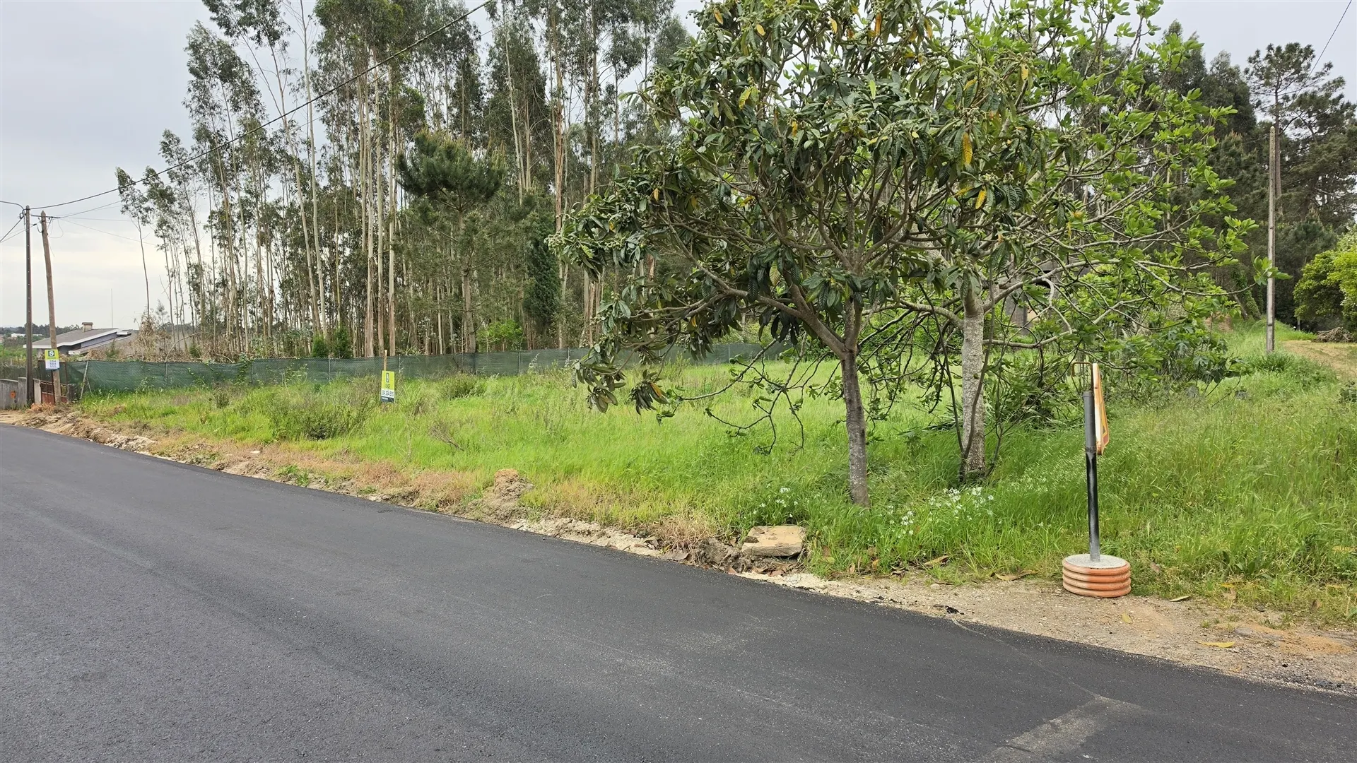 Terreno