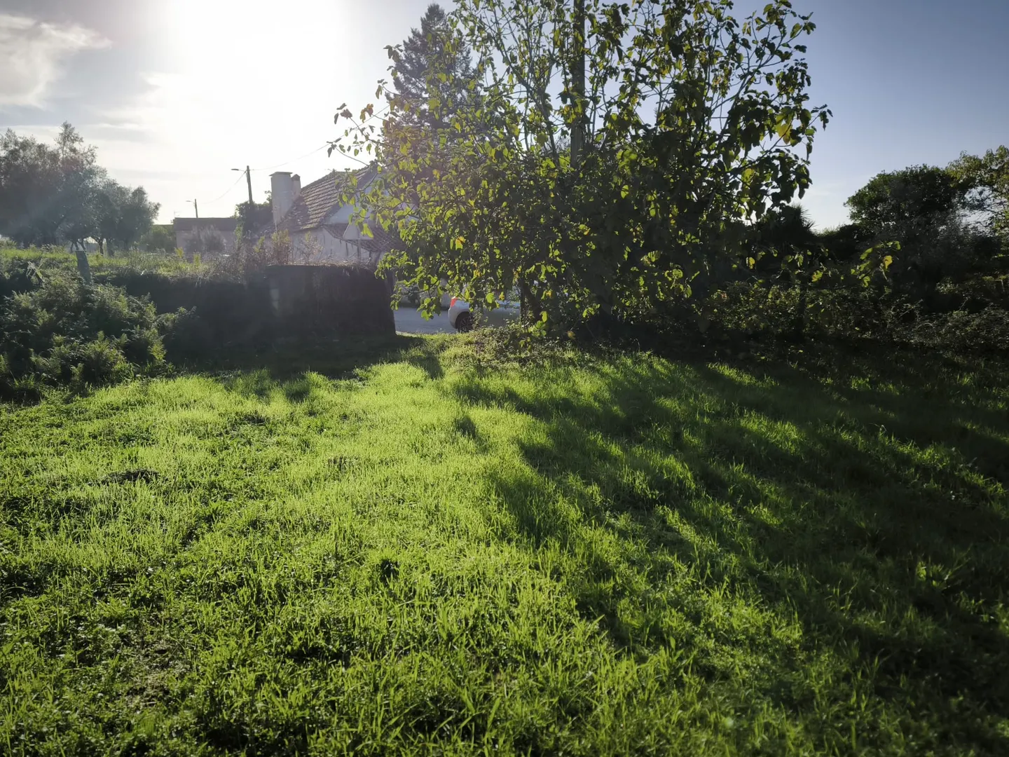 Terreno