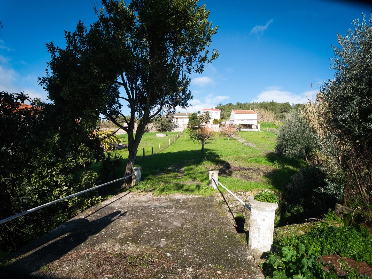 Terreno
