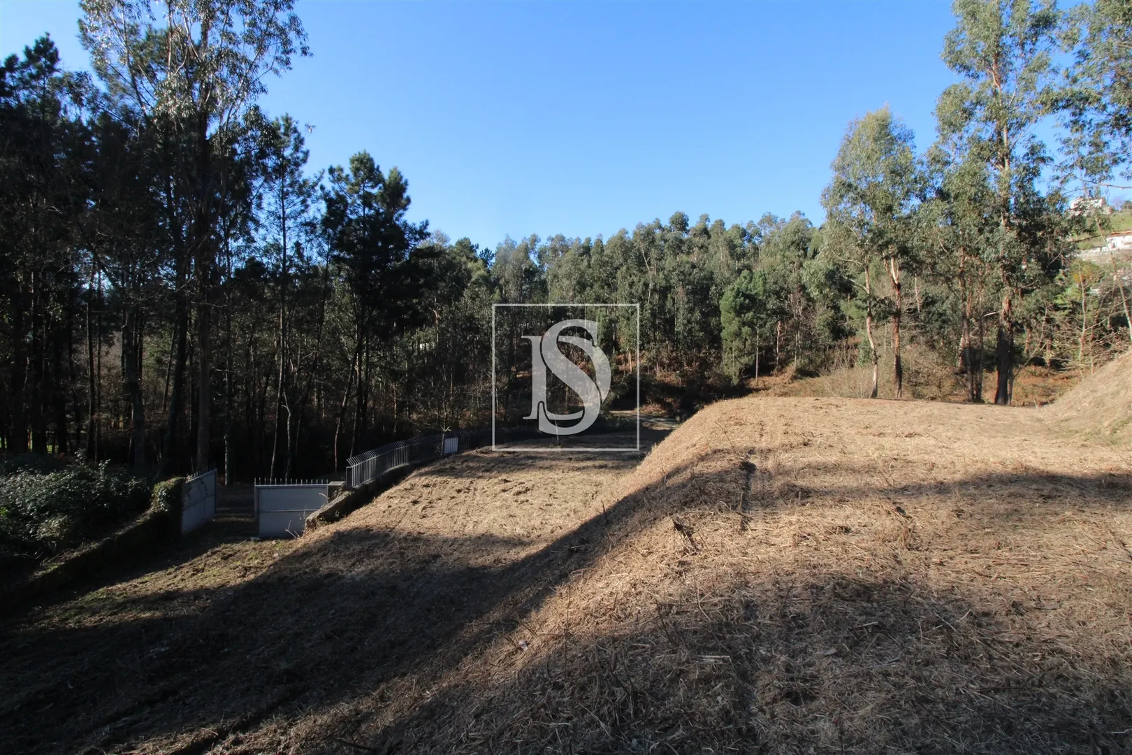 Terreno
