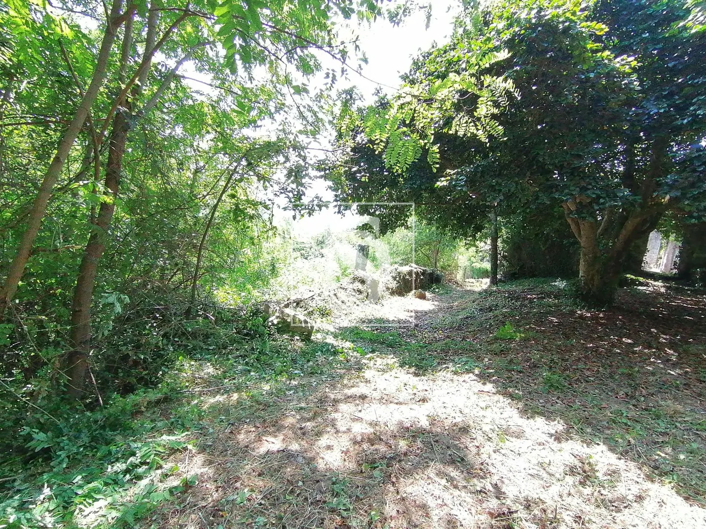 Quinta