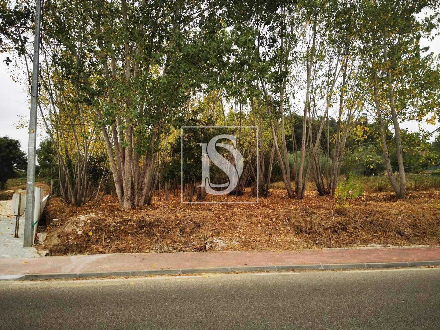 Terreno