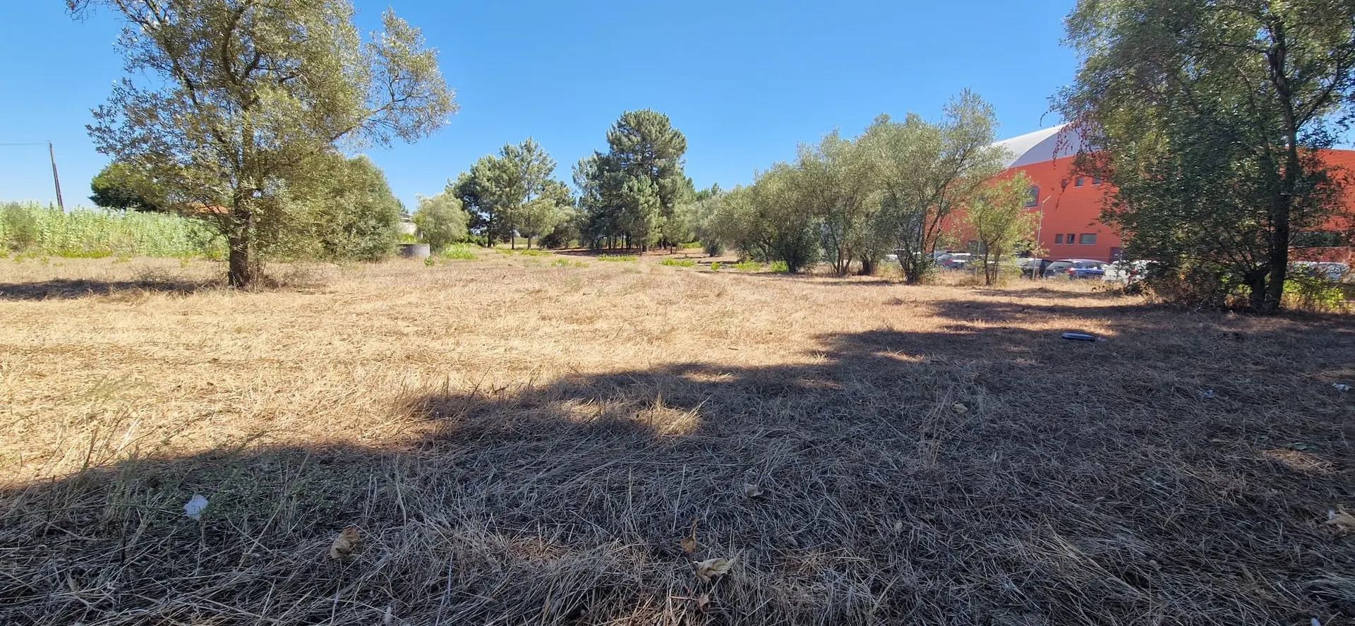 Terreno