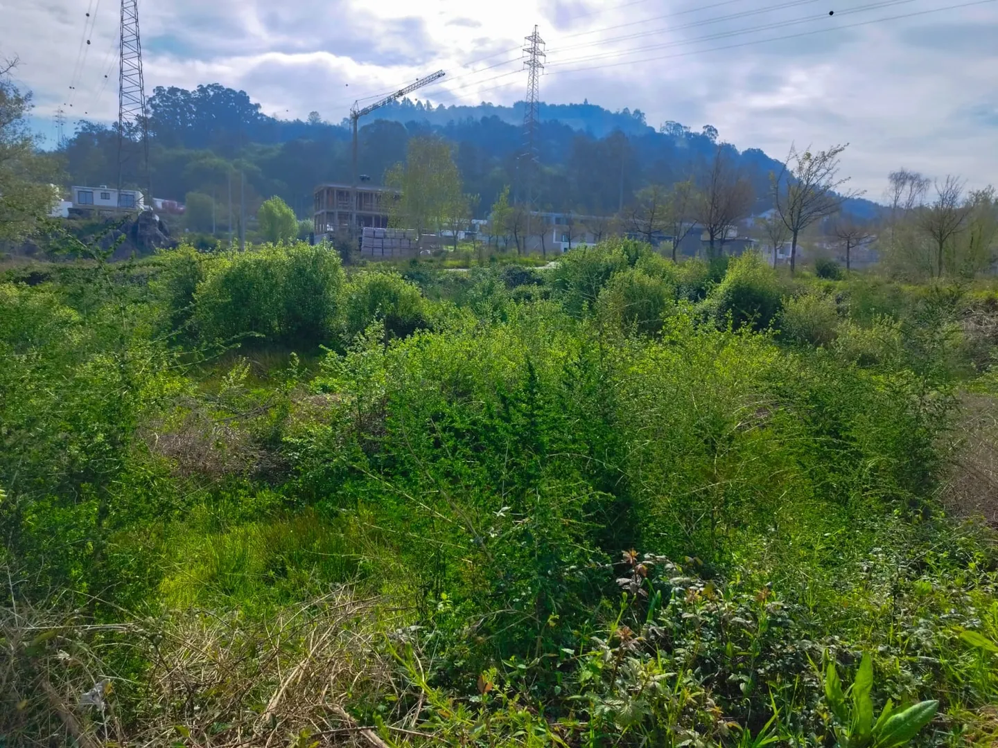 Terreno