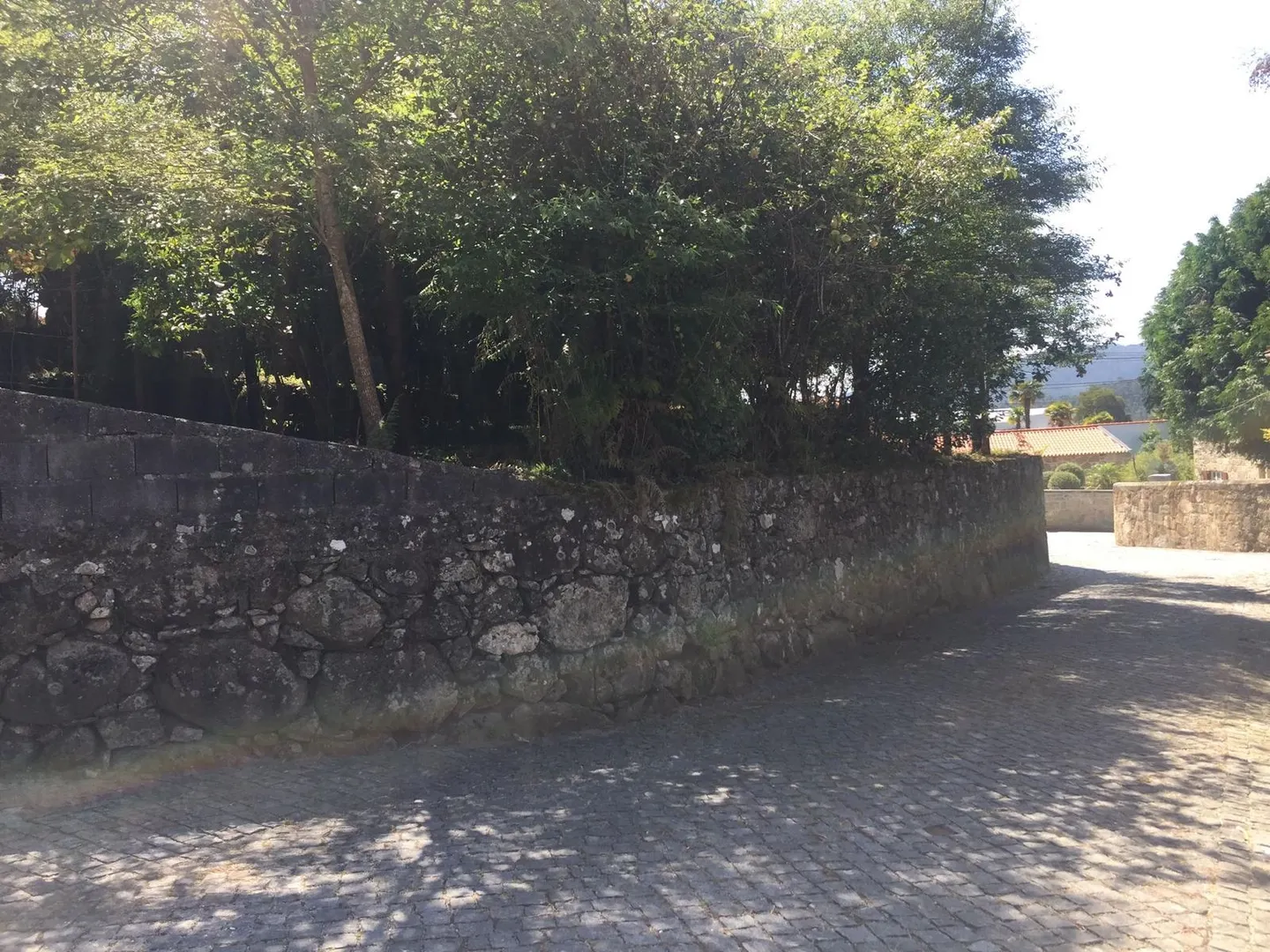 Terreno
