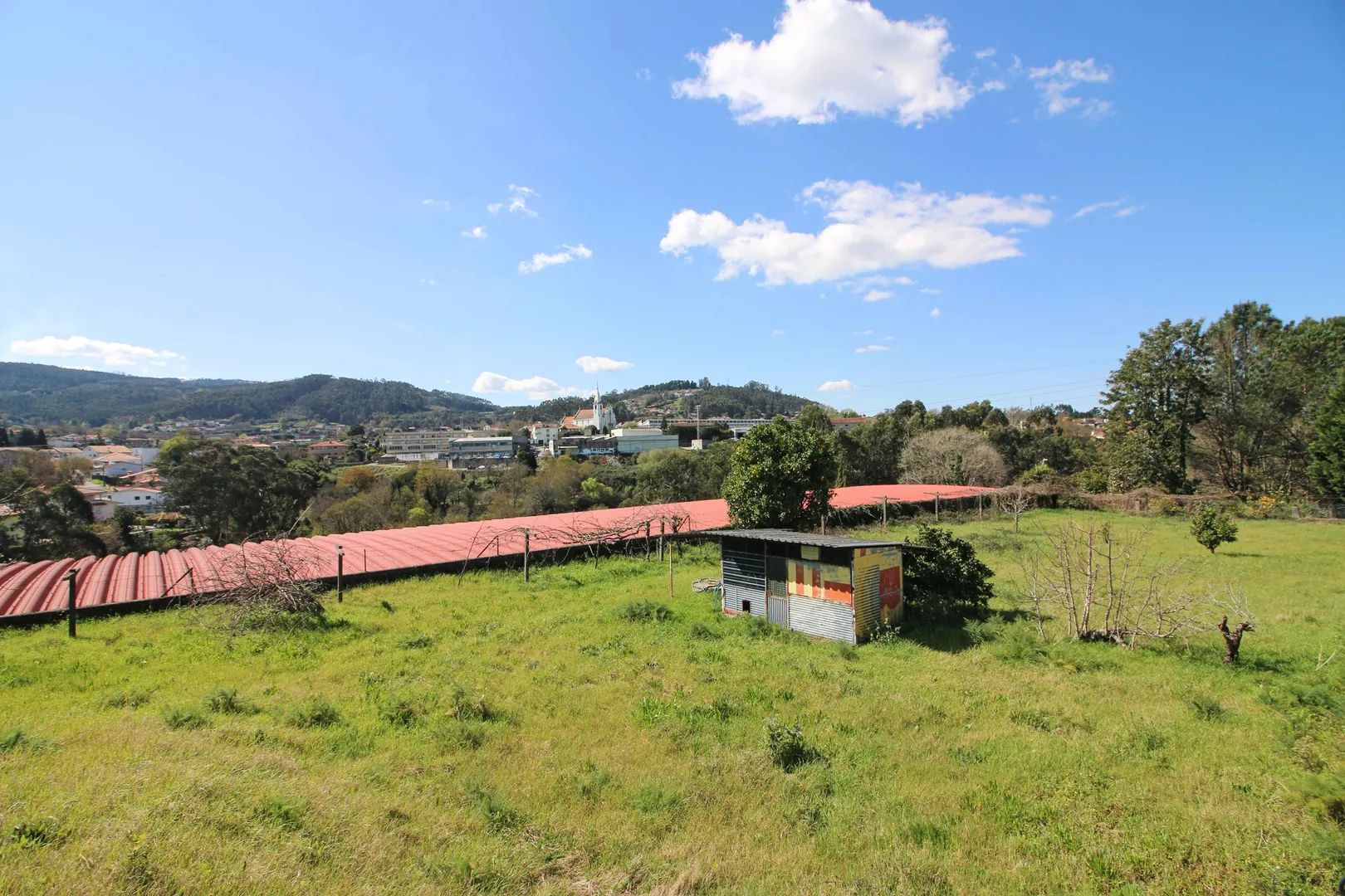 Terreno