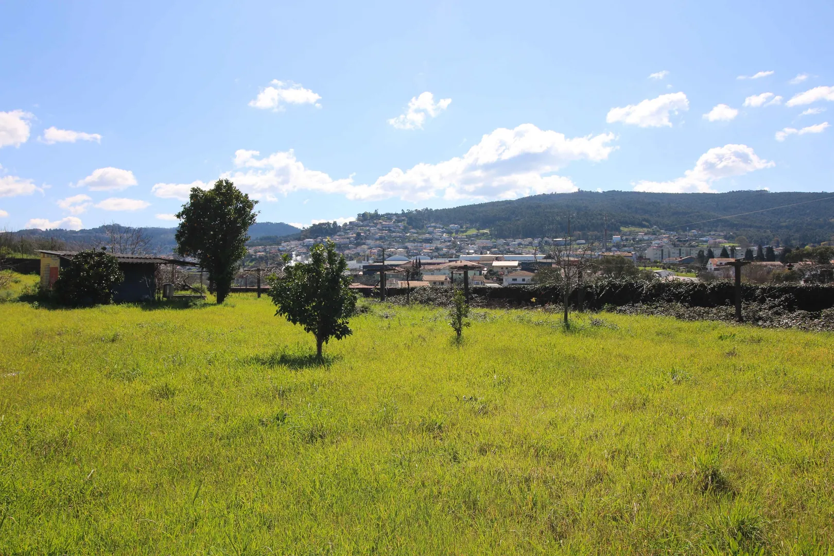 Terreno