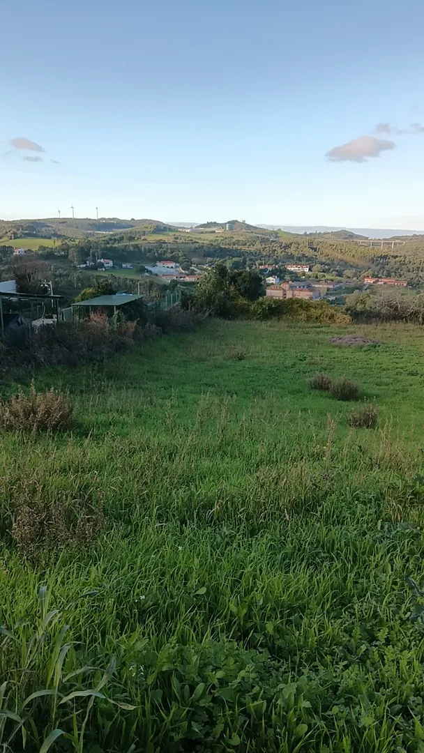 Terreno