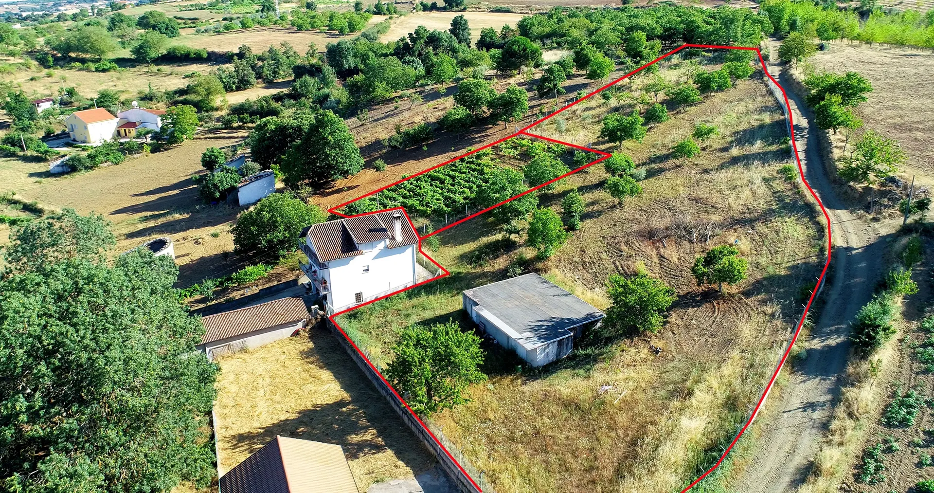 Terreno
