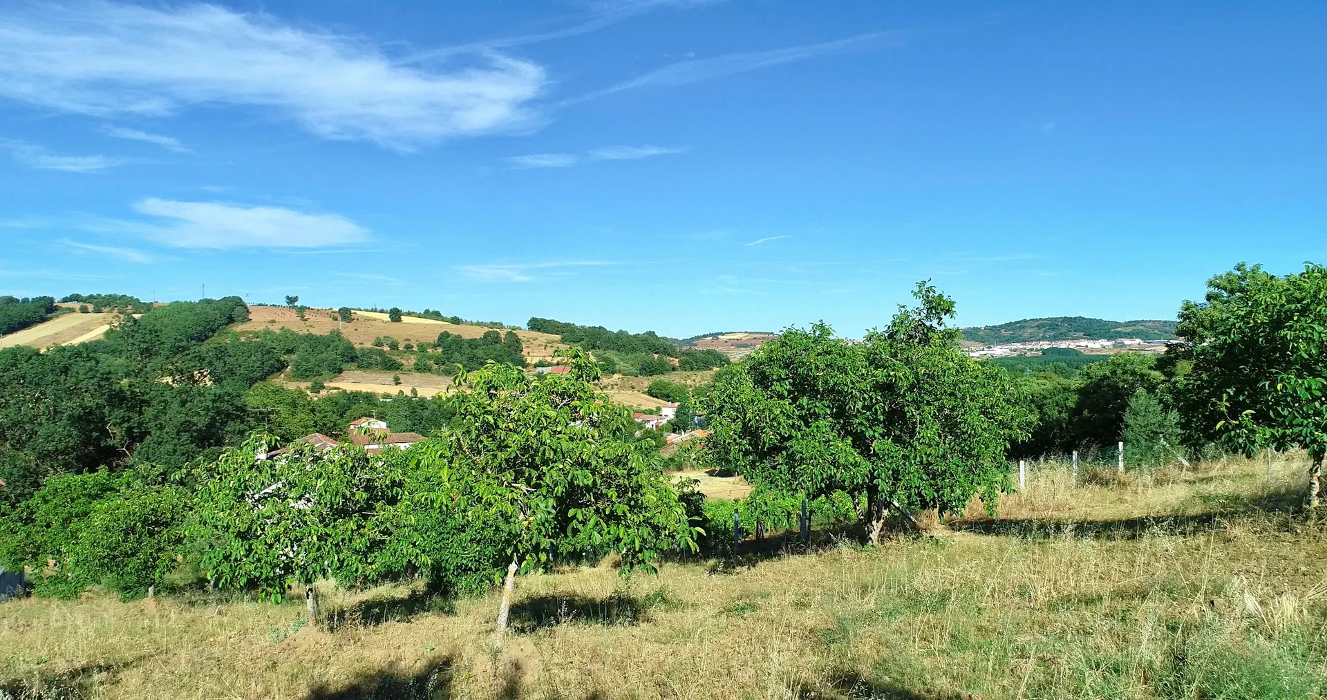Terreno