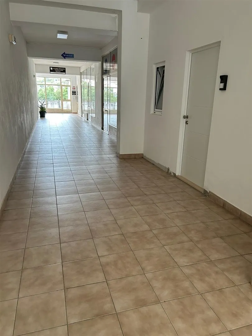 Apartamento T1+1