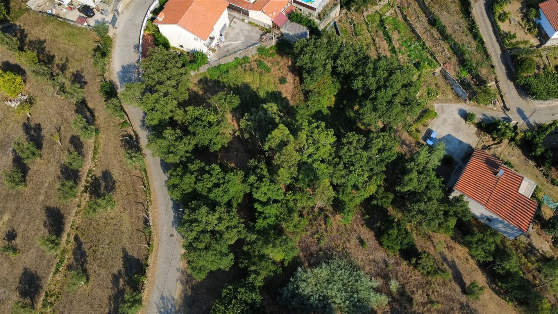 Terreno