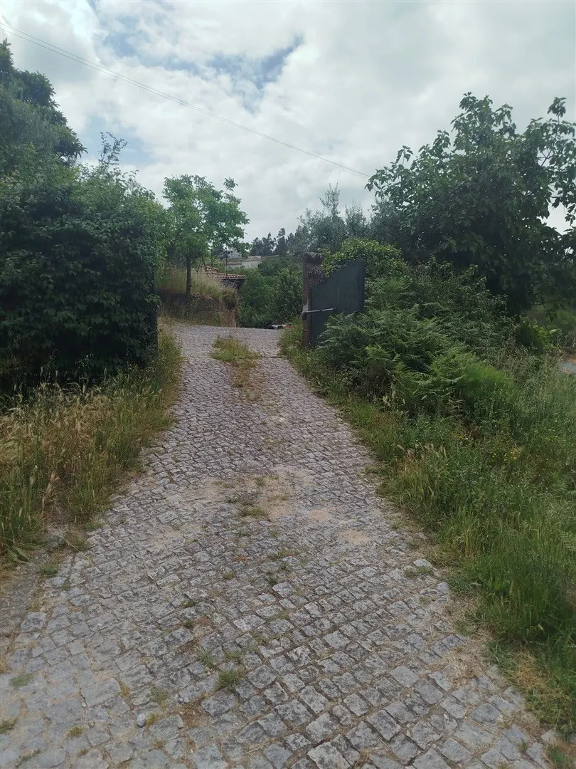 Quinta