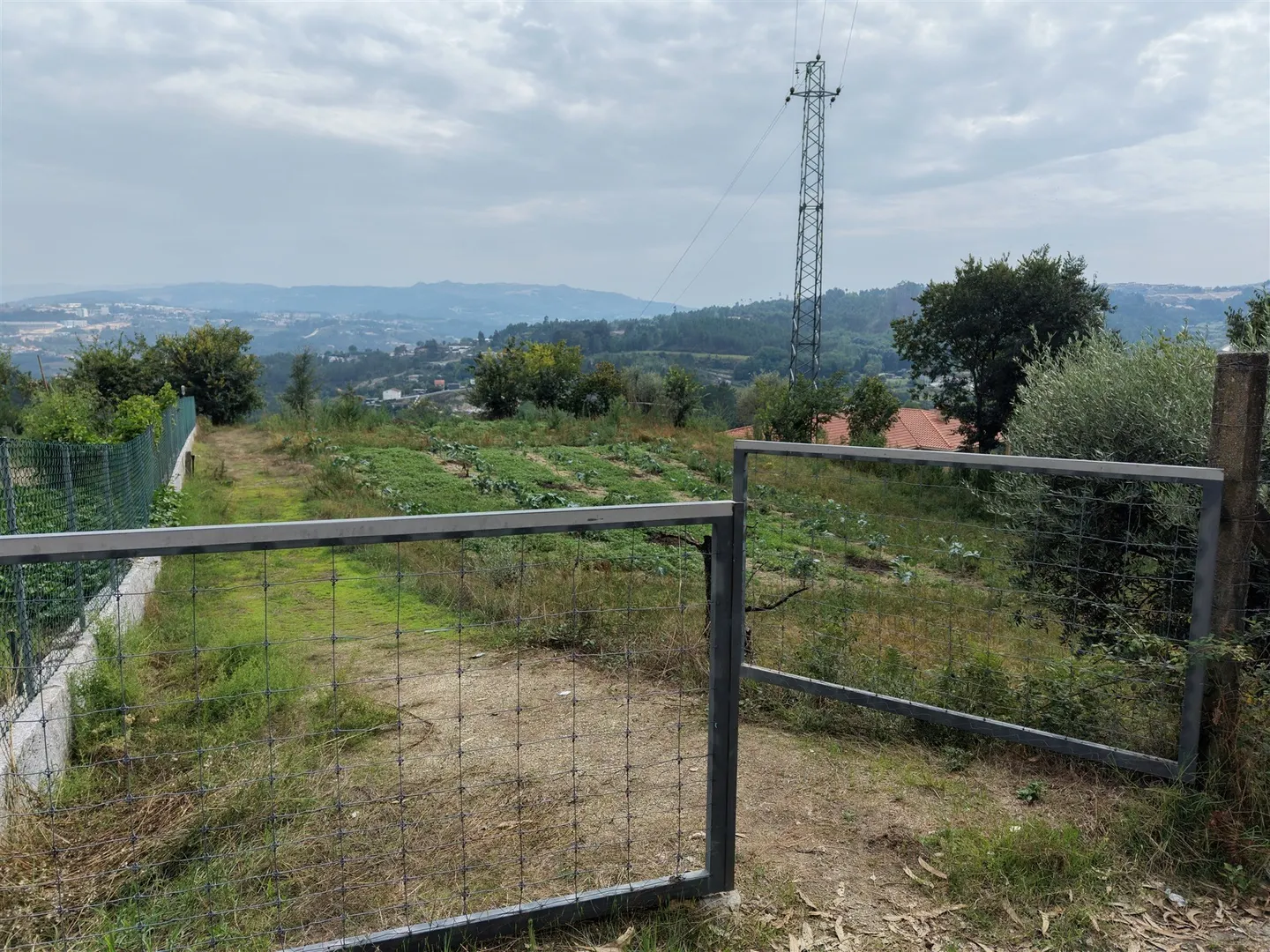 Terreno Venda