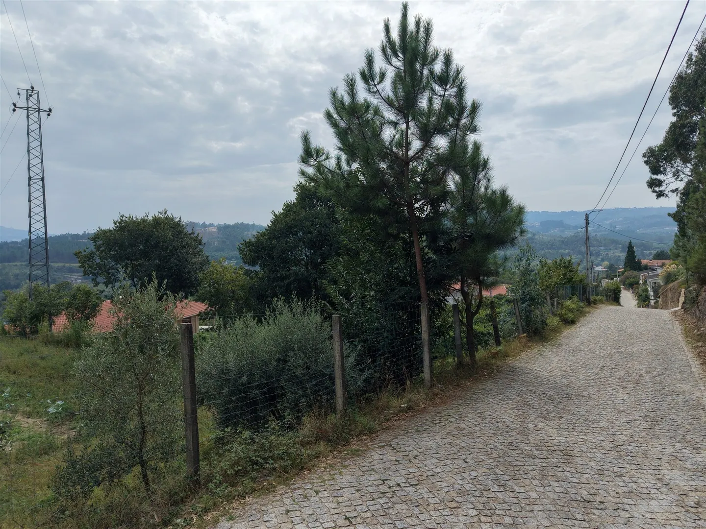 Terreno Venda
