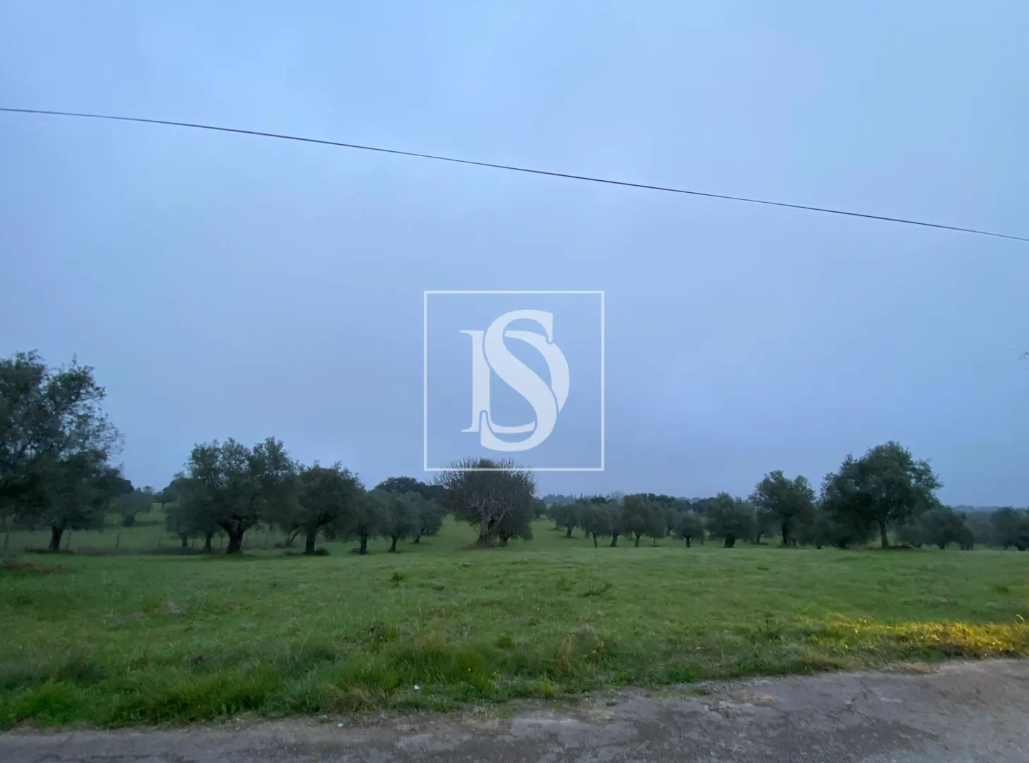 Terreno