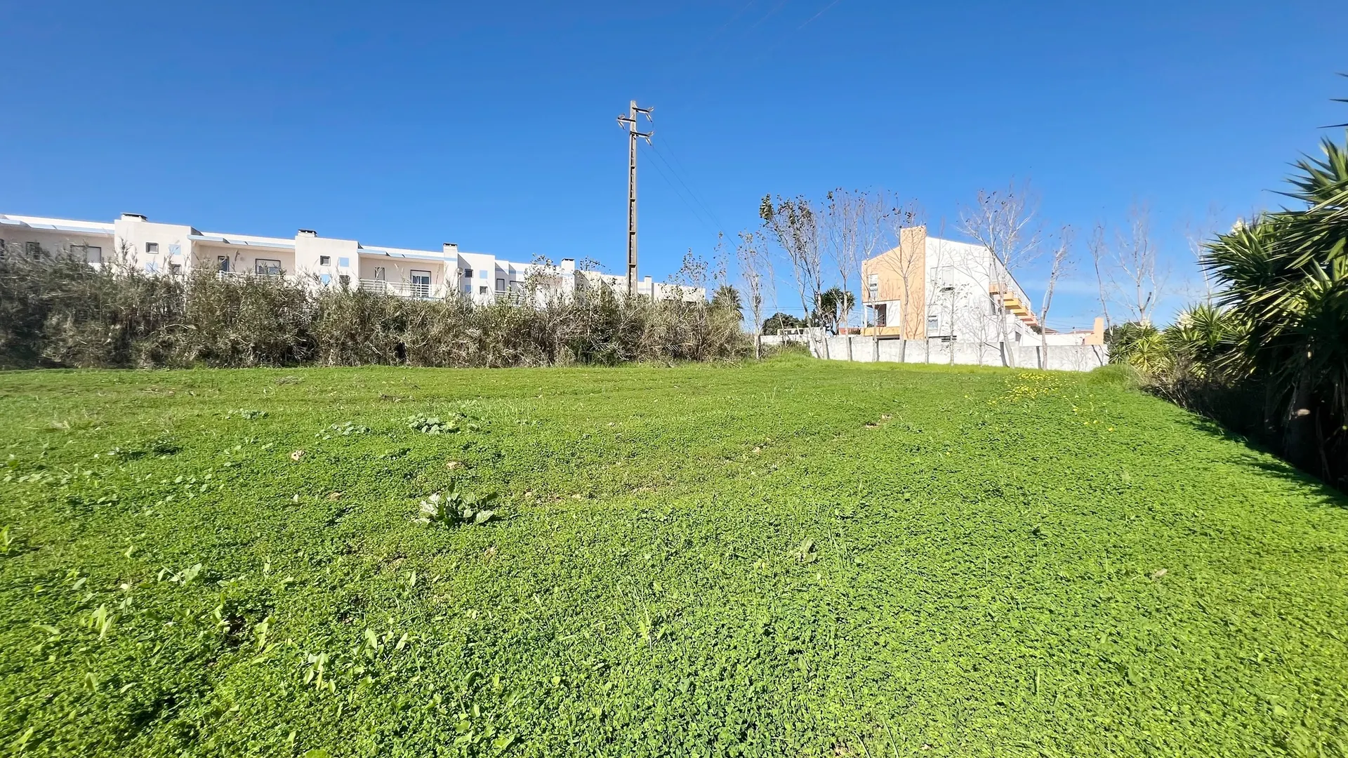 Terreno