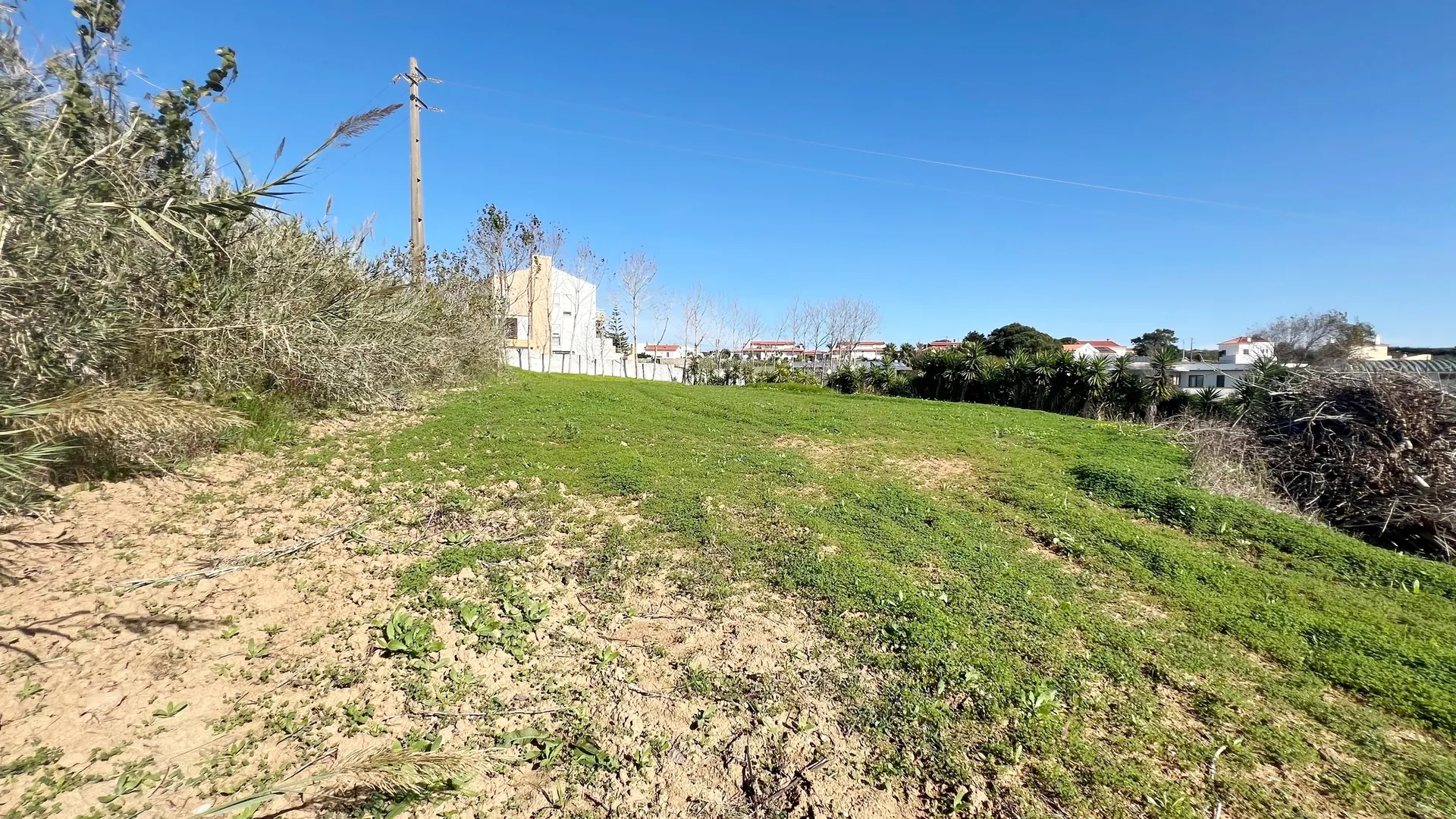 Terreno