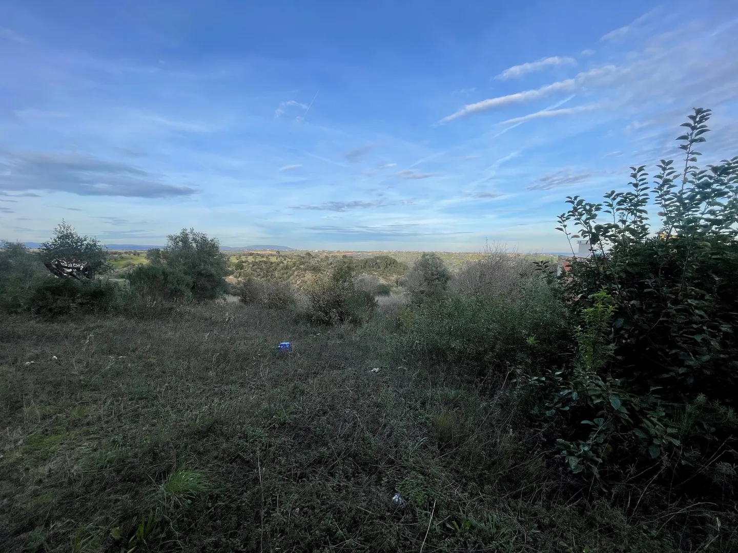Terreno