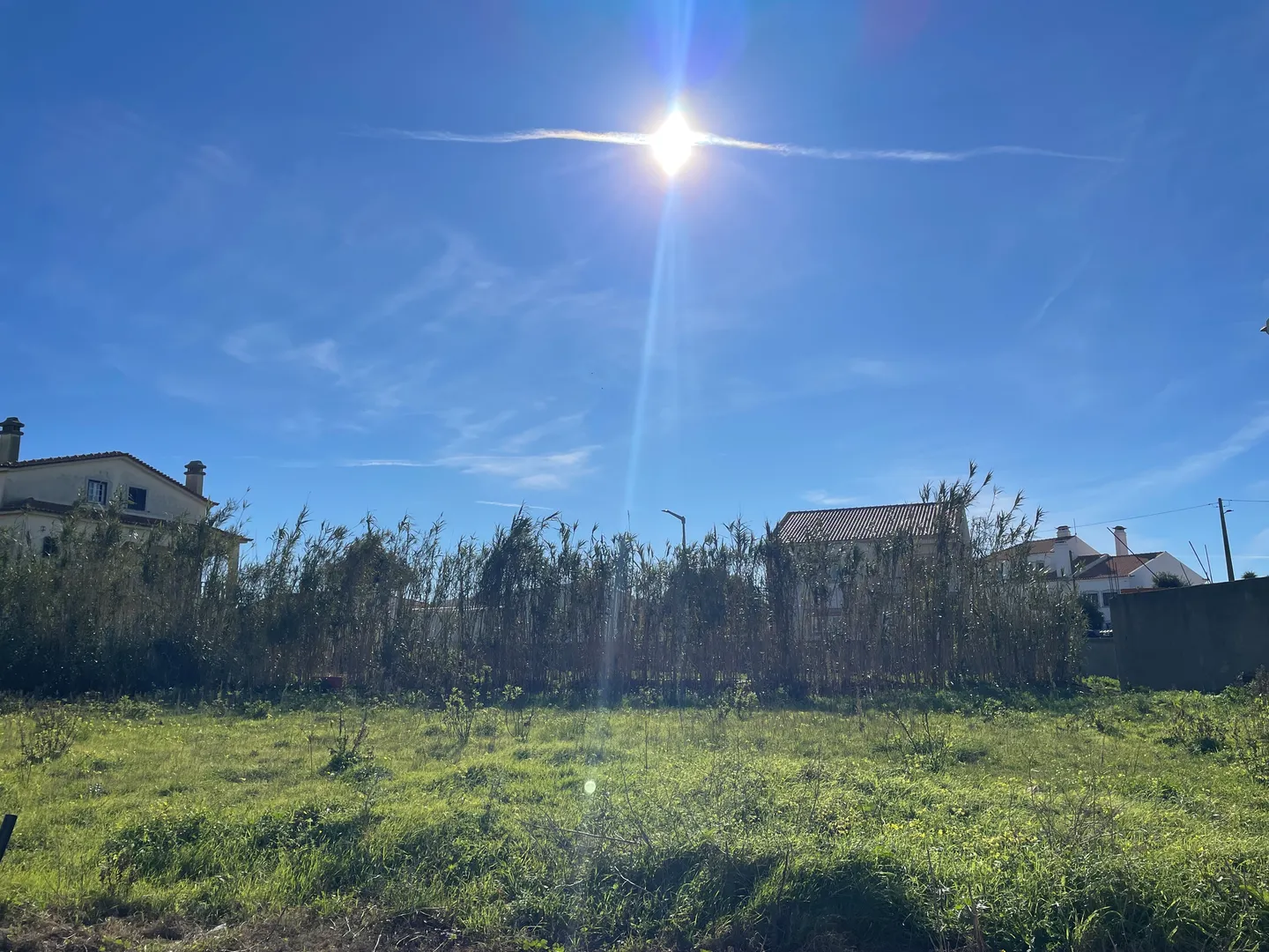 Terreno