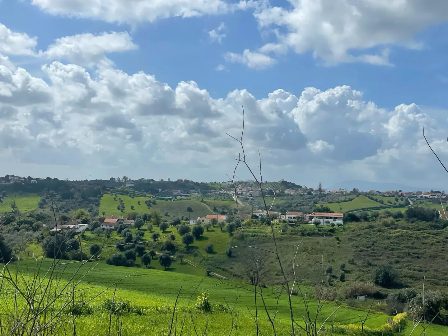 Terreno