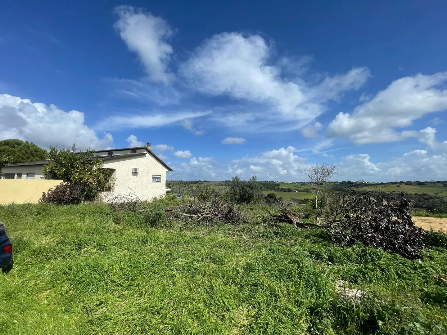 Terreno