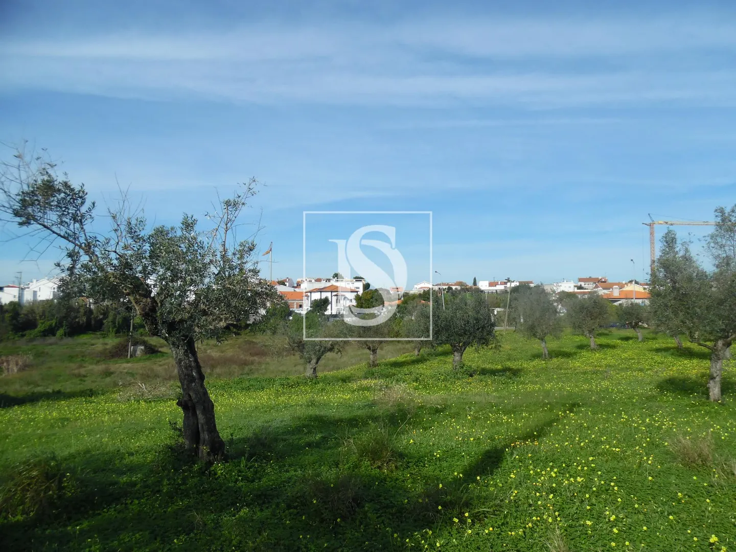 Terreno