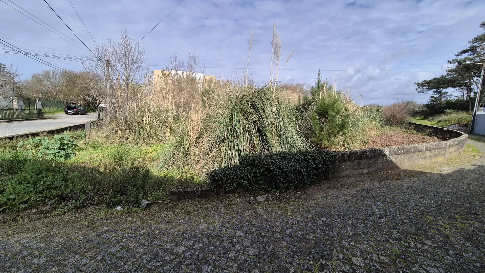 Terreno