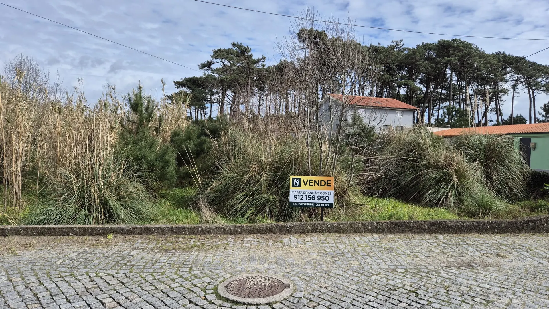 Terreno