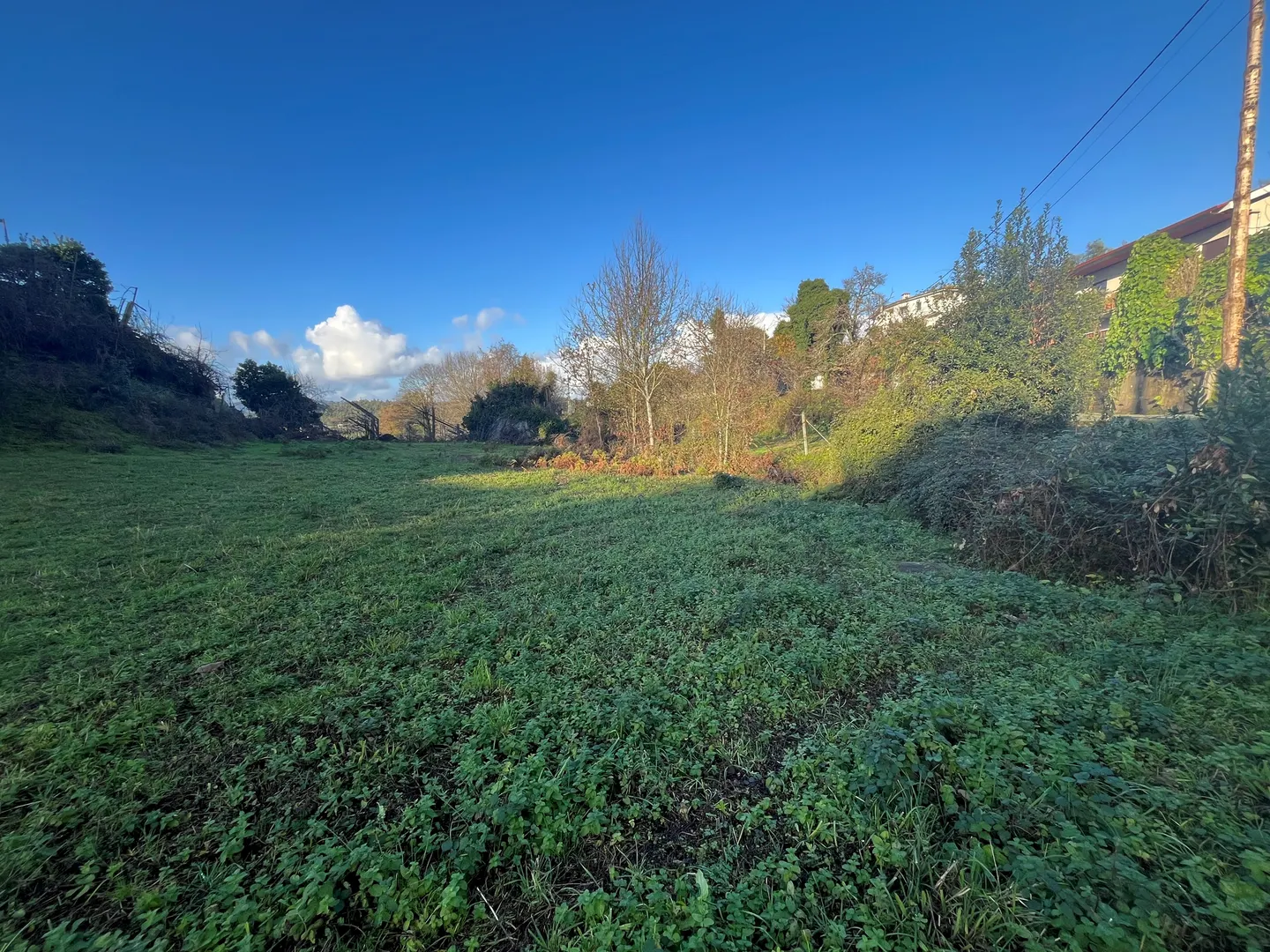 Terreno