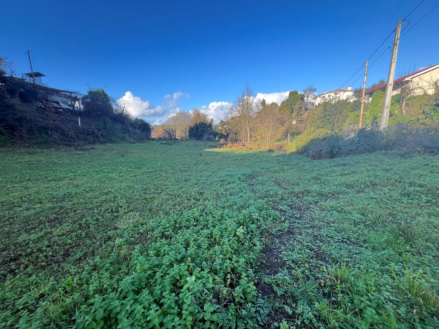 Terreno