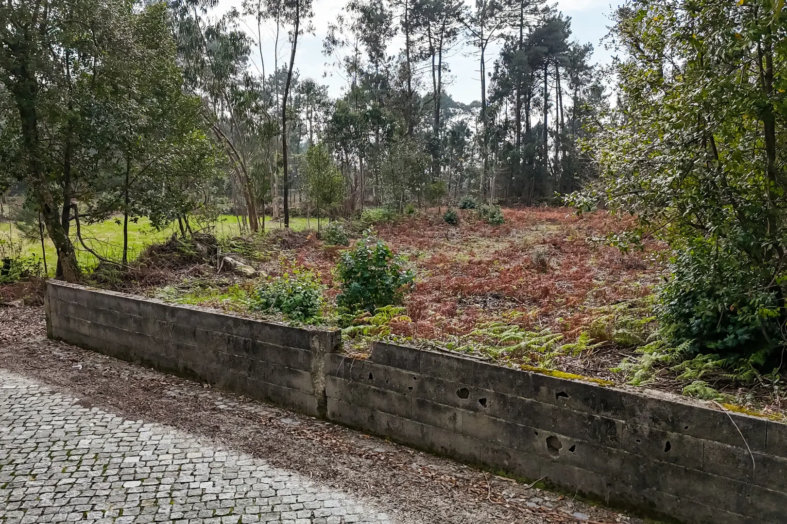 Terreno
