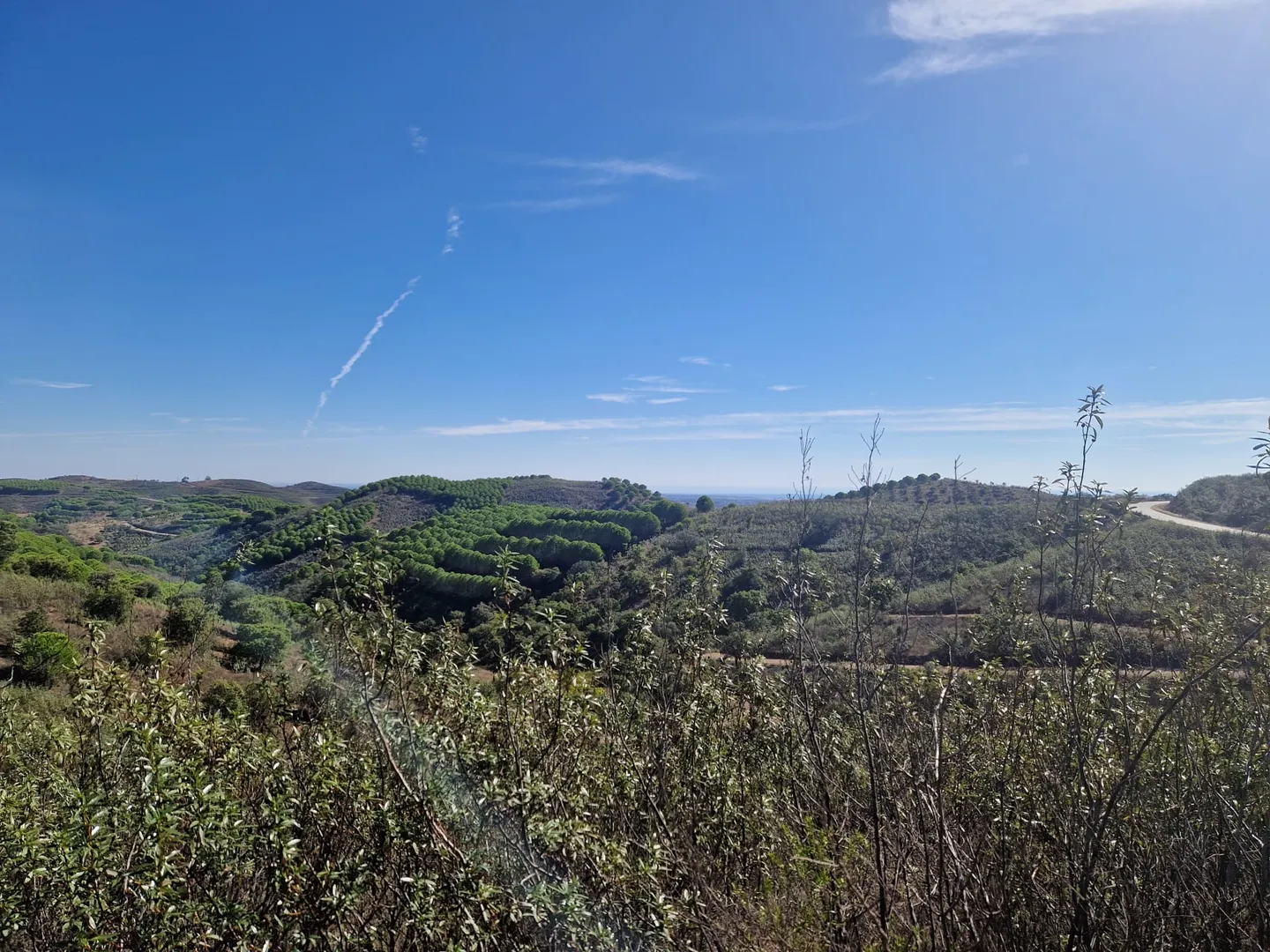 Terreno
