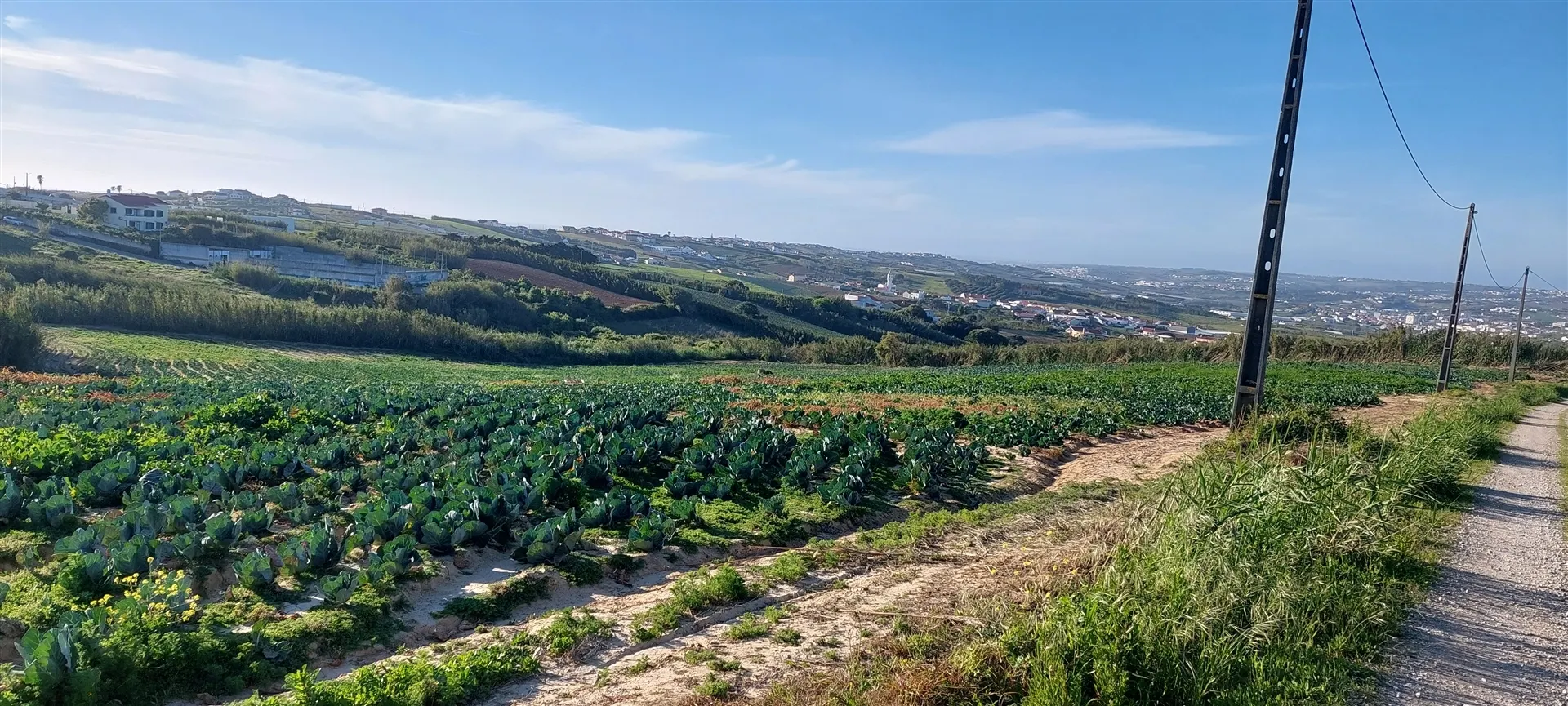Terreno Rústico com Excelente Potencial Agrícola – Localização Privilegiada