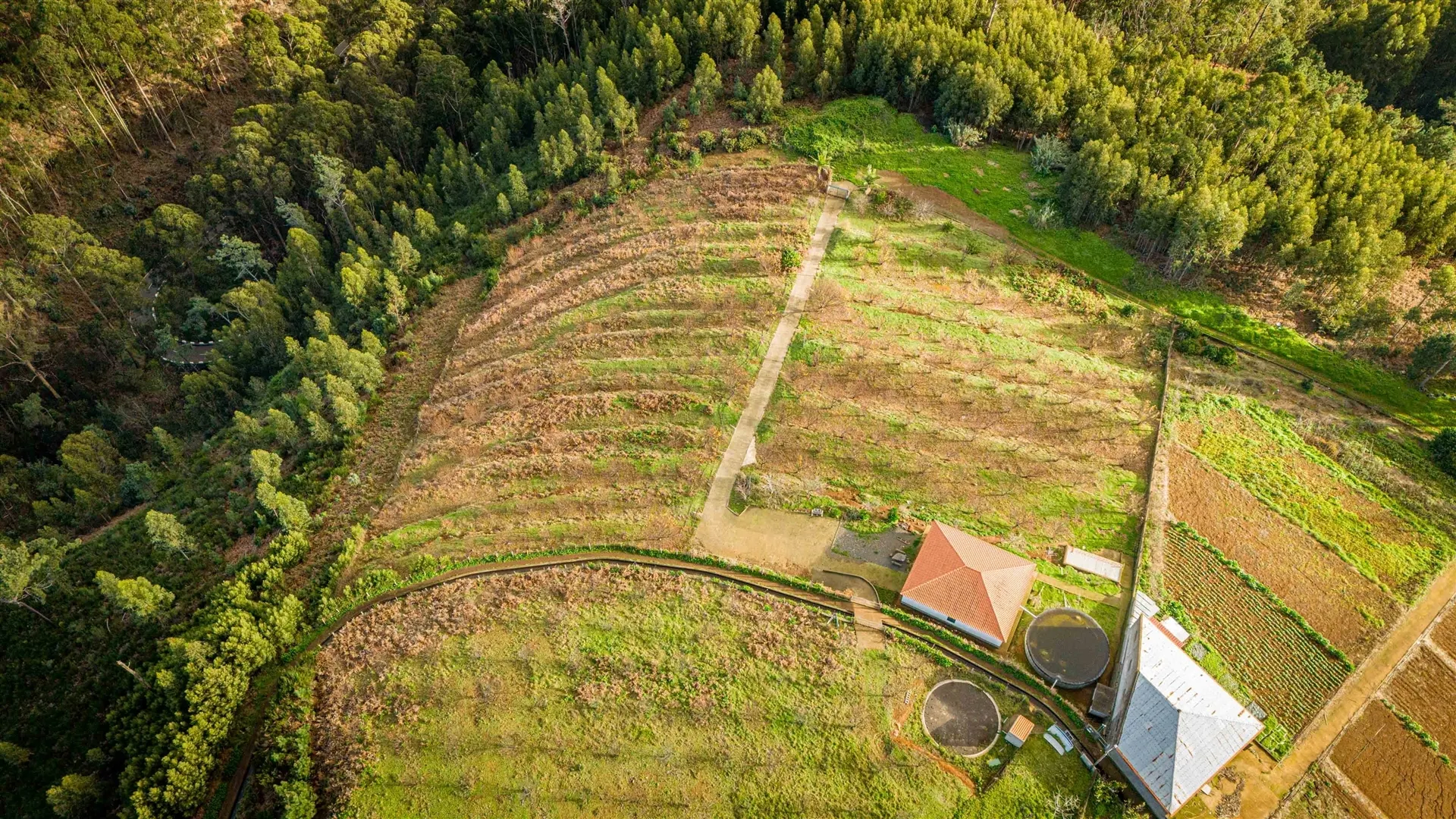 Terreno