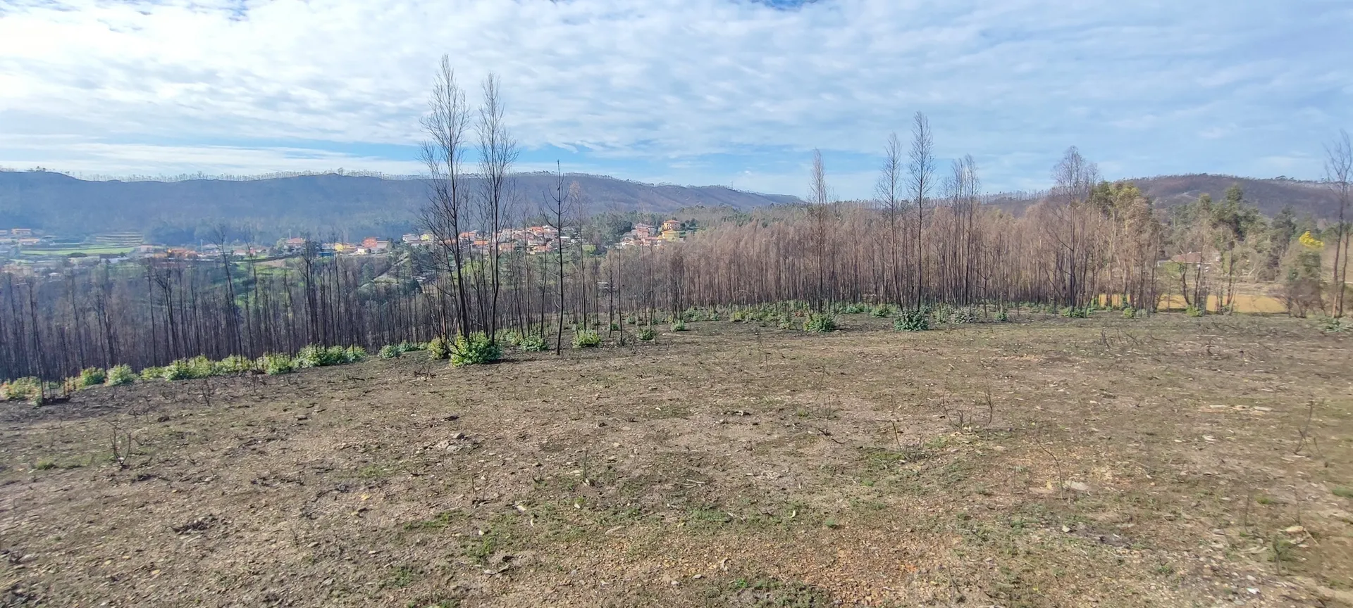 Terreno