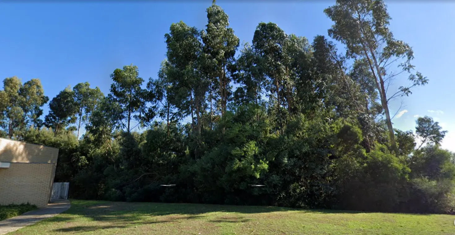 Terreno