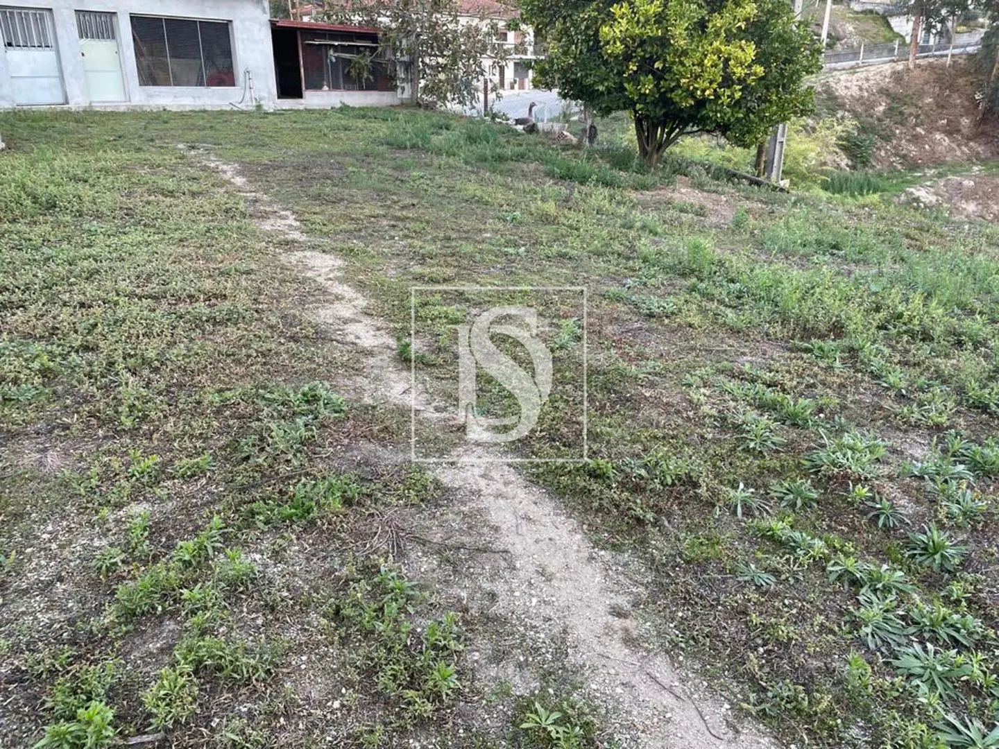 Terreno