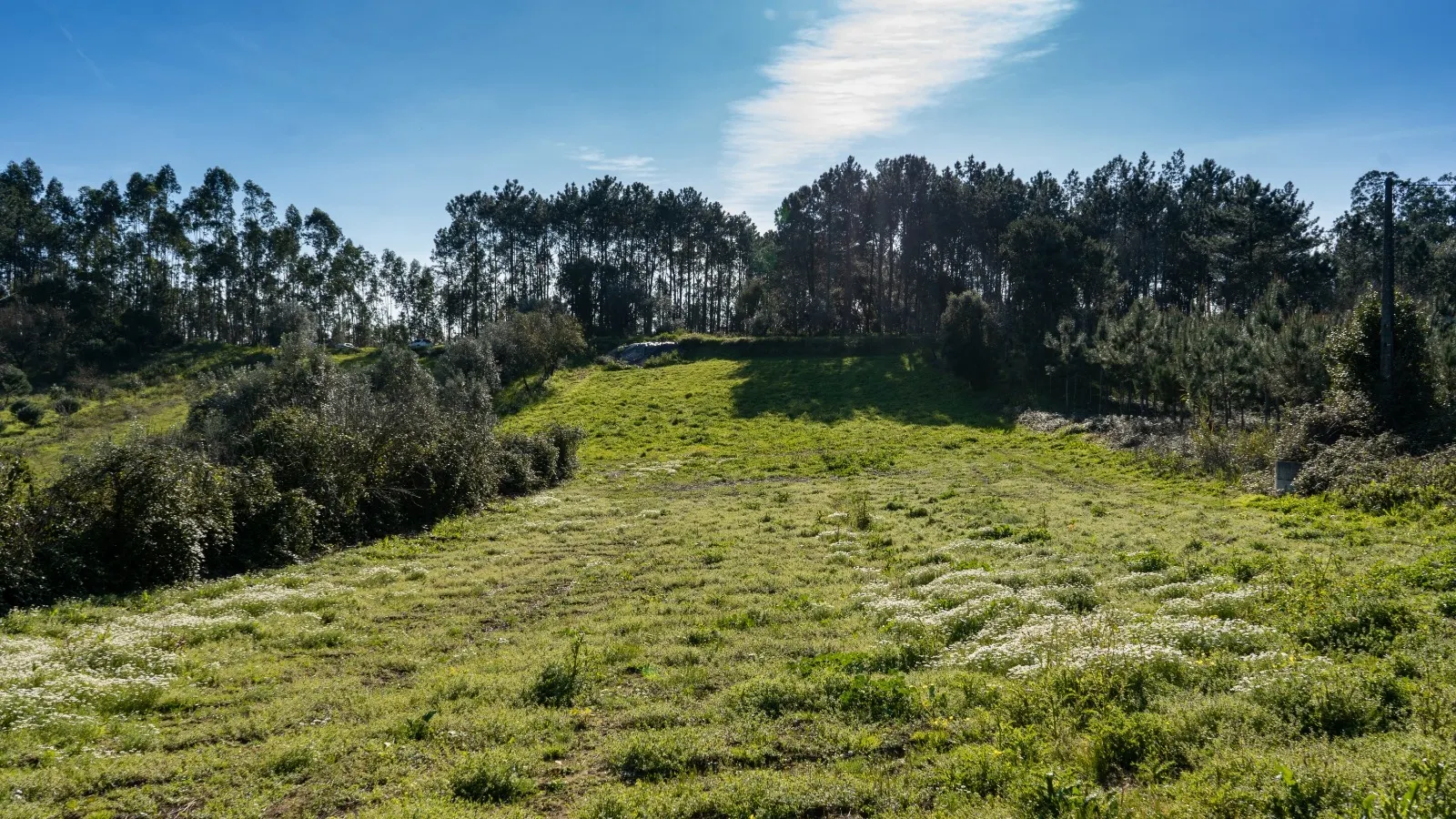 Rural Land with Excellent Potential – Alcogulhe, Leiria